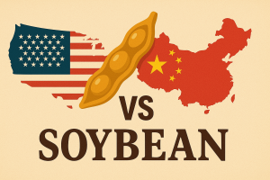 america vs china the soyabean trade war